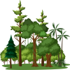 forest-cover